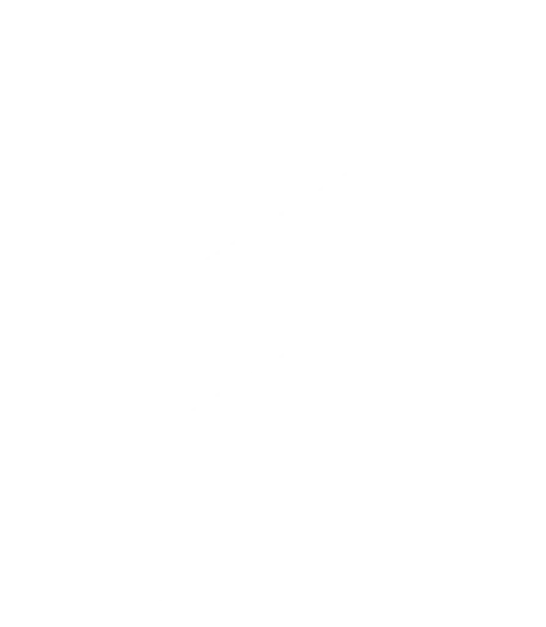 MZ Academy